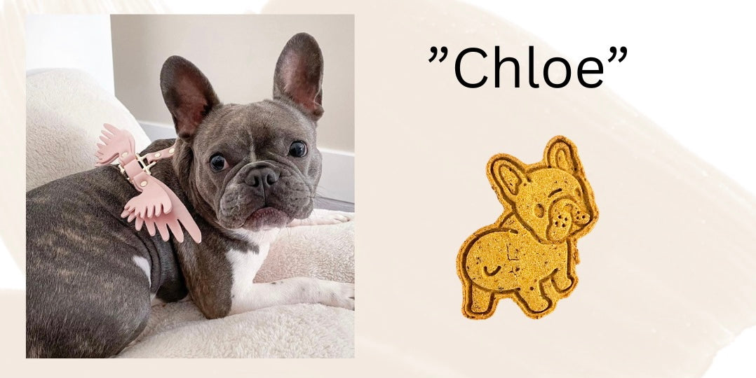 Vegan Loveyloos Dog Themed Cookies