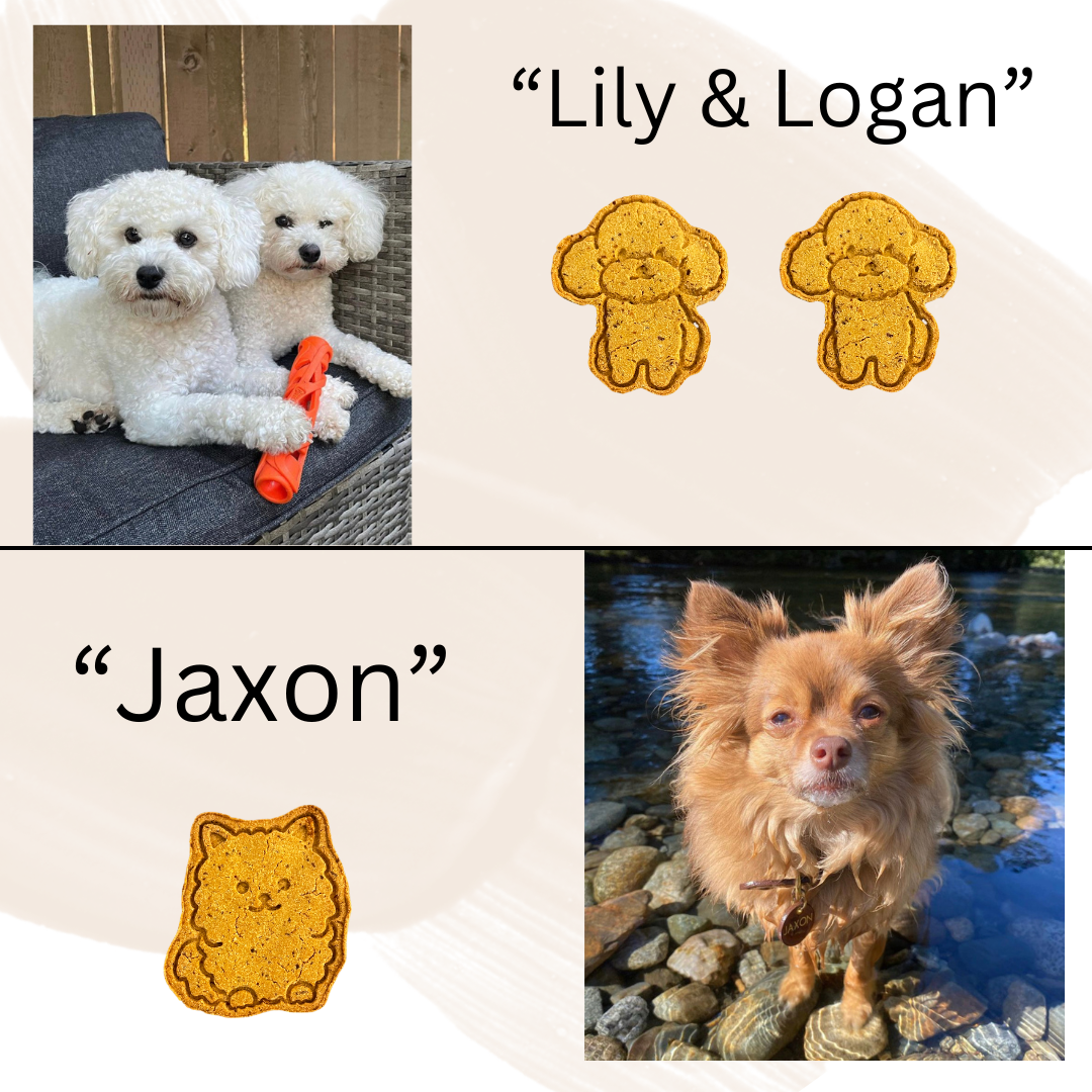 Vegan Loveyloos Dog Themed Cookies